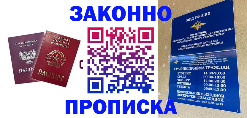 прописка в Почепе